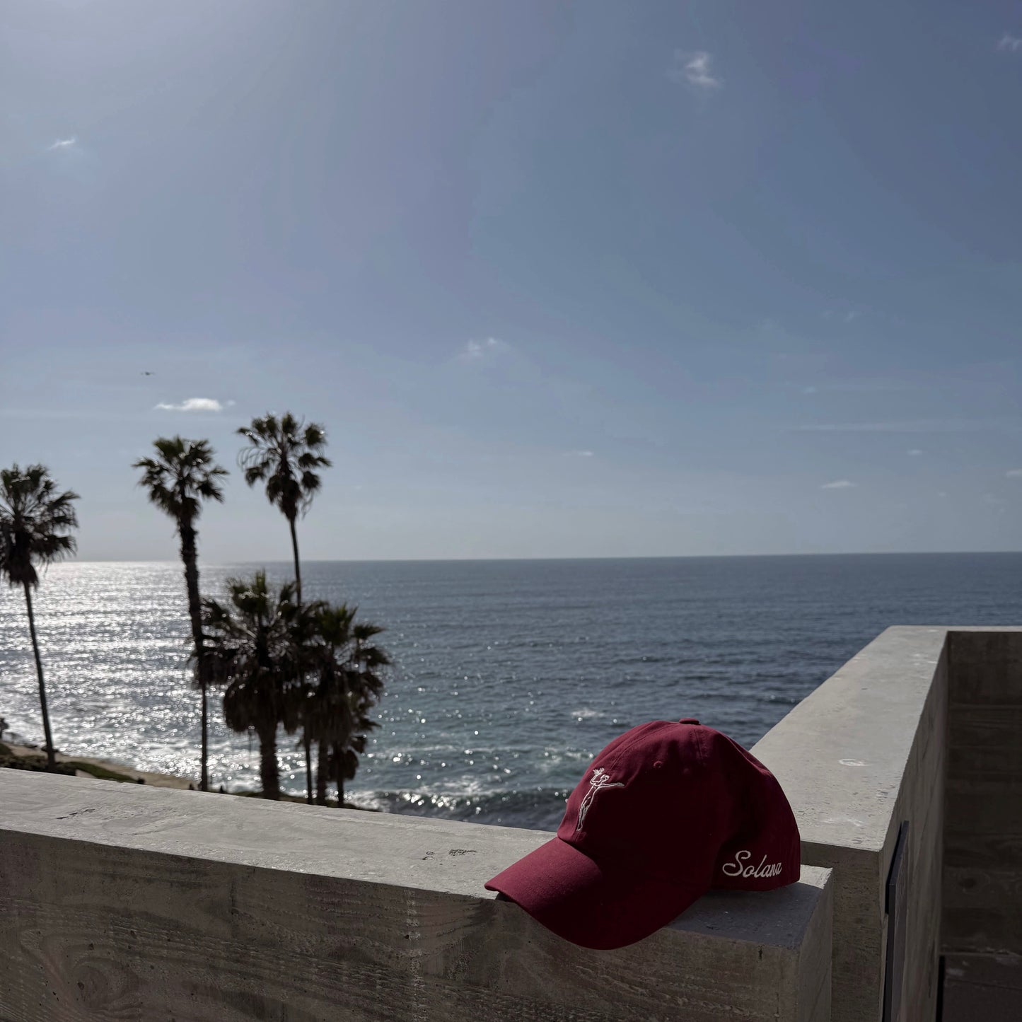 Solana Coffee Co. Hat
